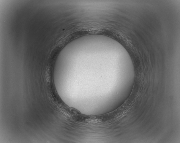 X0000071950689200608041553