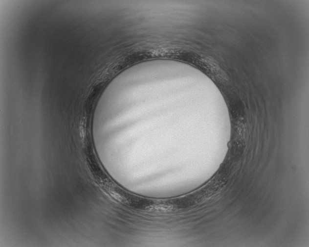 X0000071950691200608041553