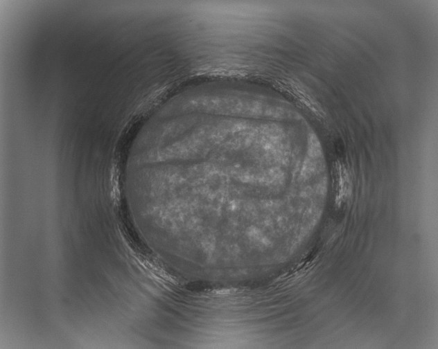 X0000071950692200608041553