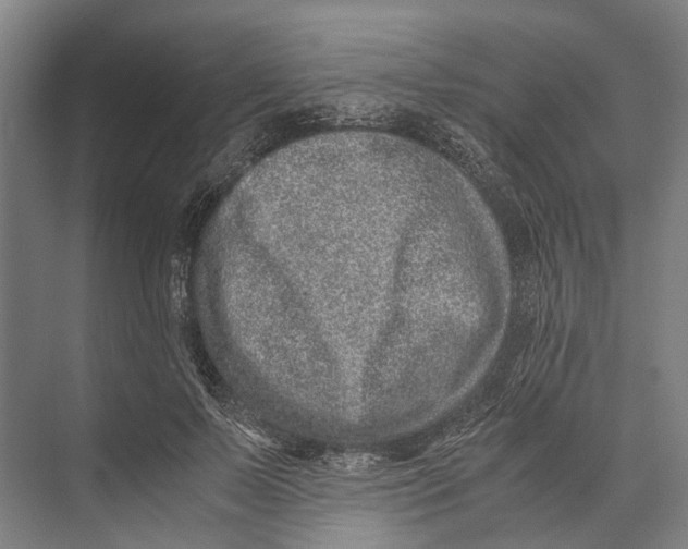 X0000071950695200608041553