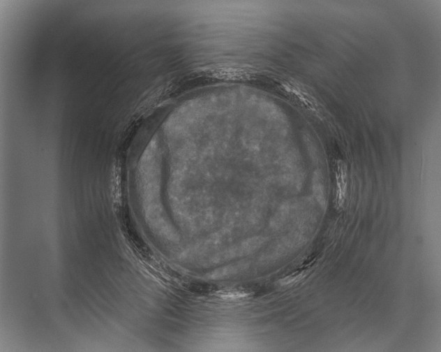 X0000071950696200608041553