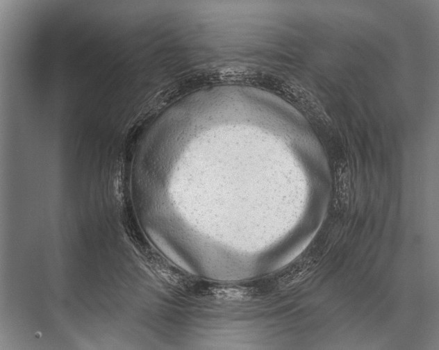 X0000071950698200608041553