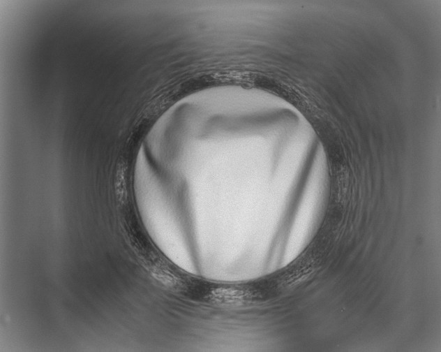 X0000071950699200608041553