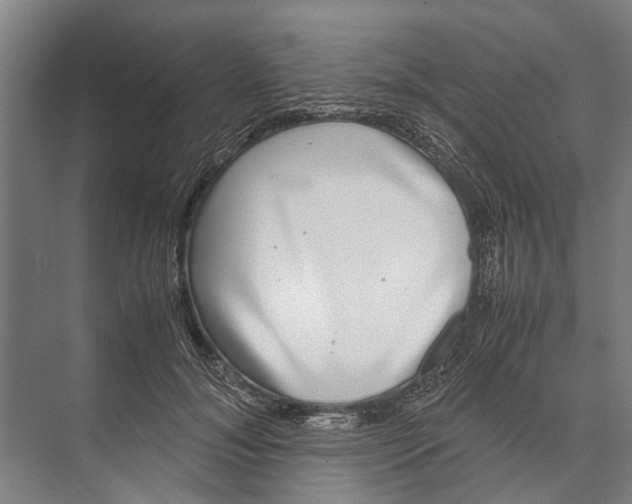 X0000071950700200608041553