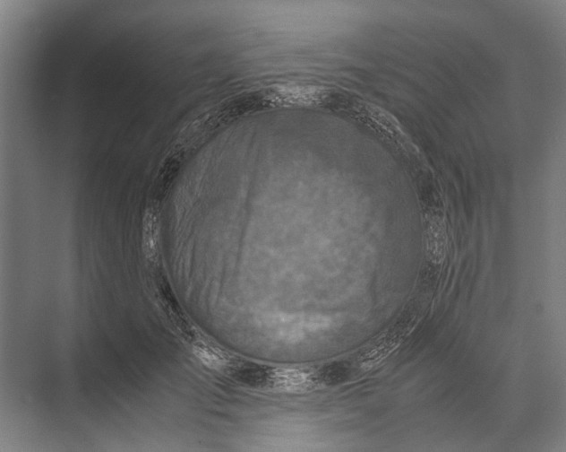 X0000071950701200608041553