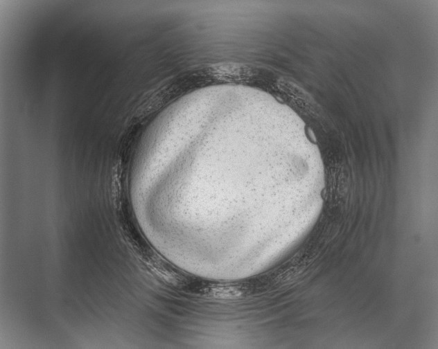 X0000071950702200608041553