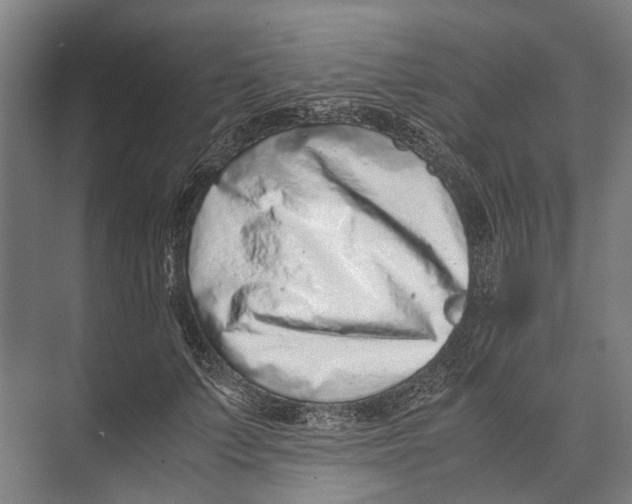 X0000071950703200608041553