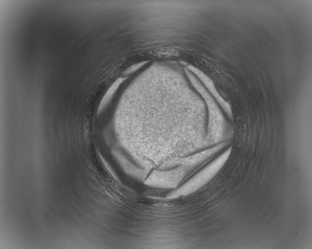 X0000071950704200608041553