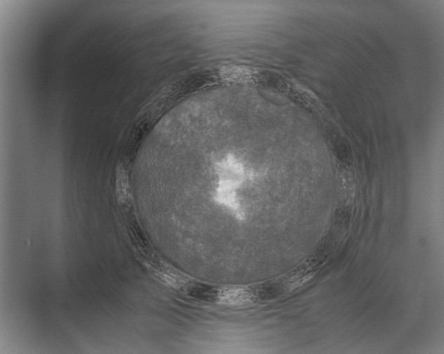 X0000071950705200608041553