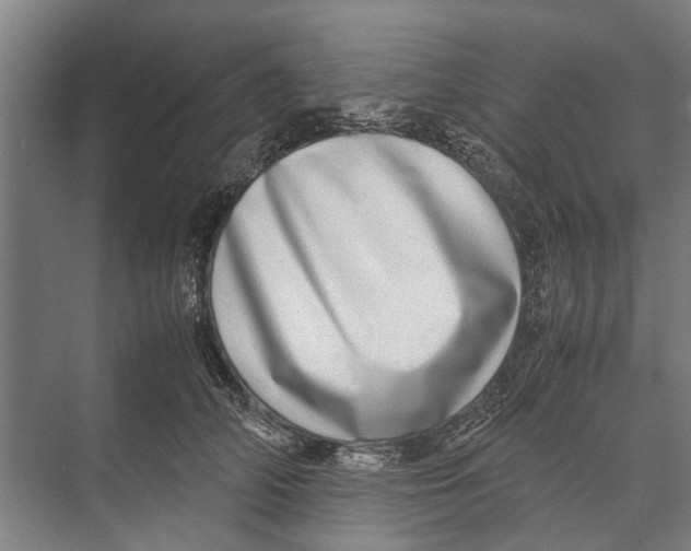 X0000071950706200608041553