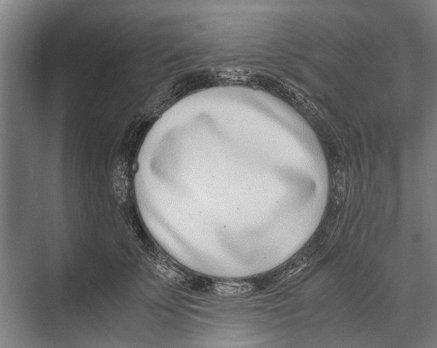 X0000071950707200608041553