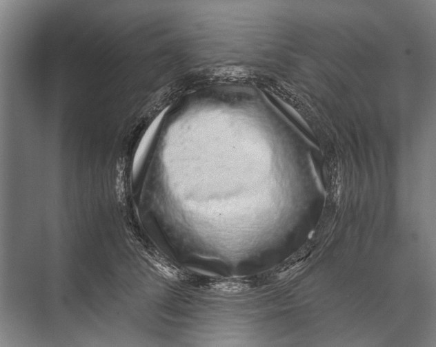 X0000071950708200608041553