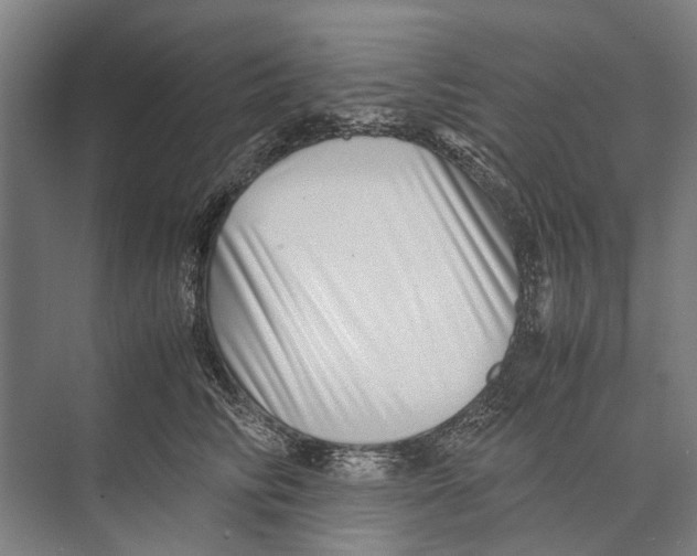 X0000071950710200608041553