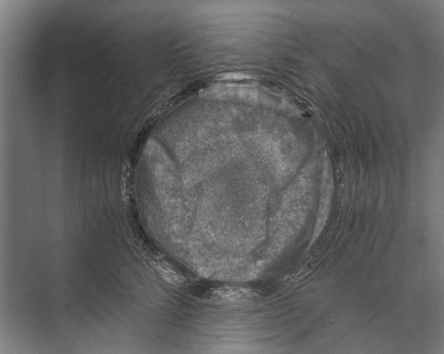 X0000071950712200608041553