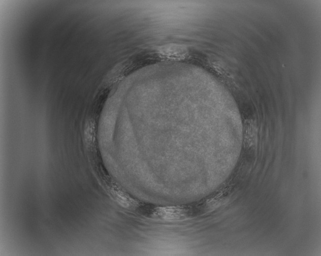 X0000071950713200608041553