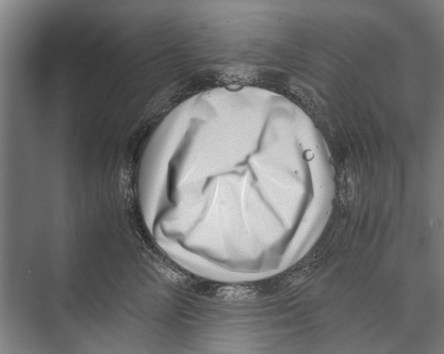 X0000071950714200608041553