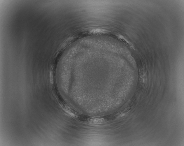 X0000071950716200608041553