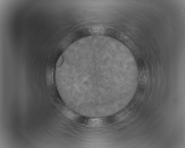 X0000071950717200608041553