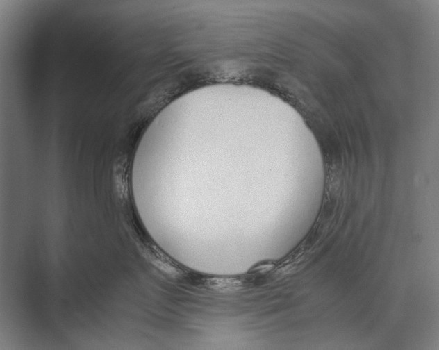 X0000071950719200608041553