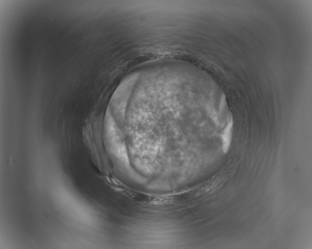 X0000071950720200608041553