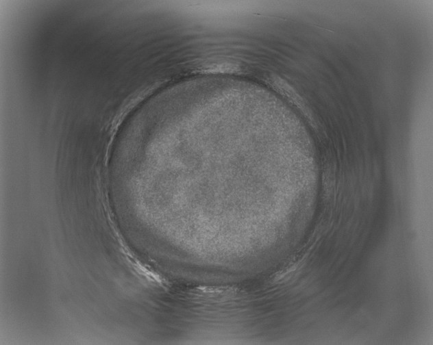 X0000071950721200608041552