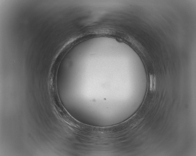 X0000071950723200608041552