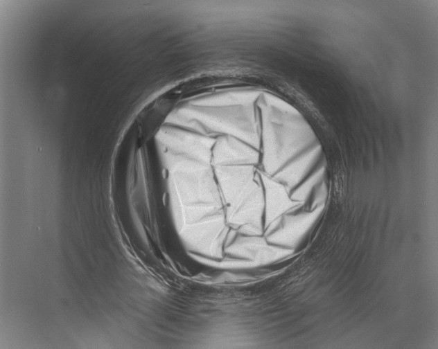 X0000071950724200608041552