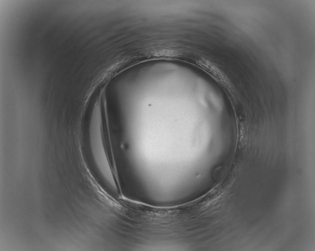 X0000071950725200608041552