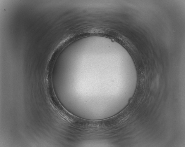 X0000071950727200608041552