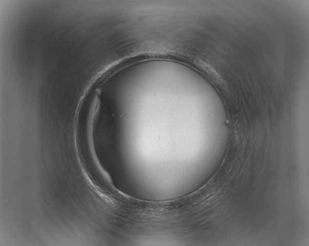 X0000071950728200608041552