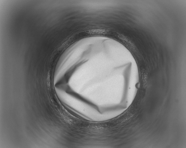 X0000071950729200608041552