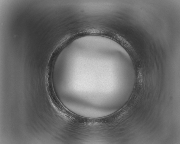 X0000071950730200608041552