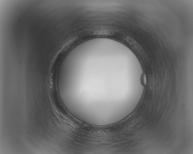 X0000071950731200608041552