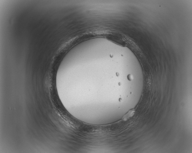 X0000071950732200608041552