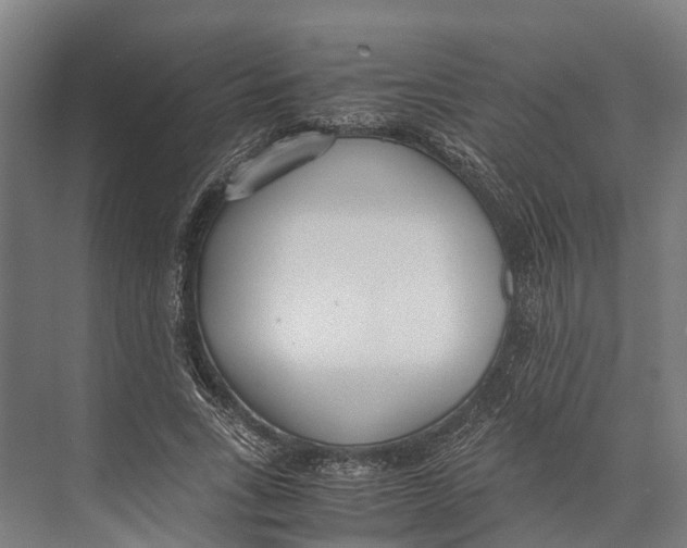 X0000071950735200608041552