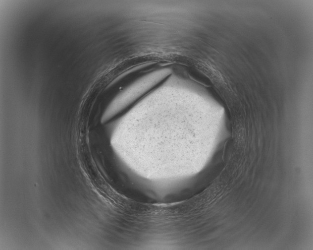 X0000071950736200608041552