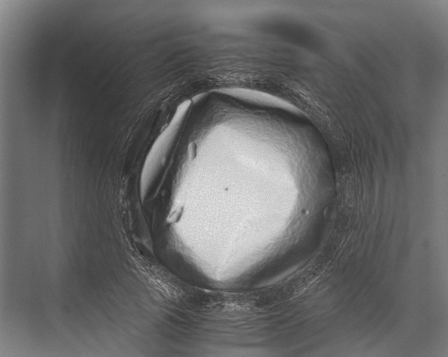 X0000071950737200608041552