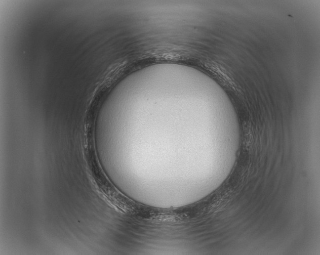 X0000071950738200608041552