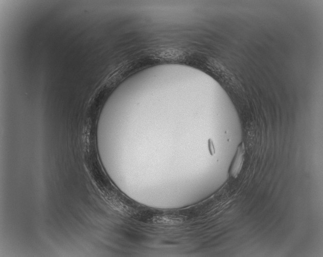 X0000071950739200608041552