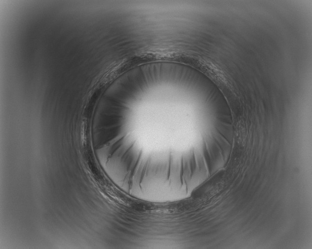 X0000071950740200608041552