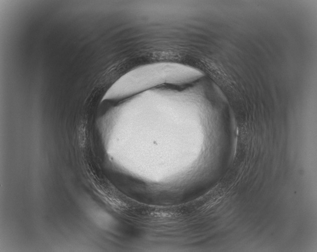 X0000071950741200608041552