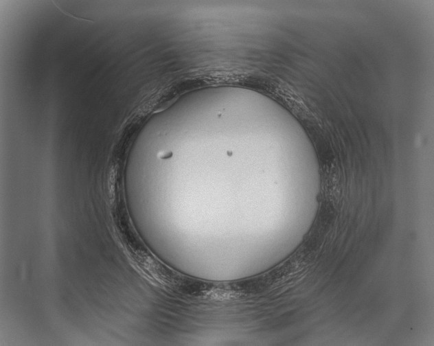 X0000071950742200608041553