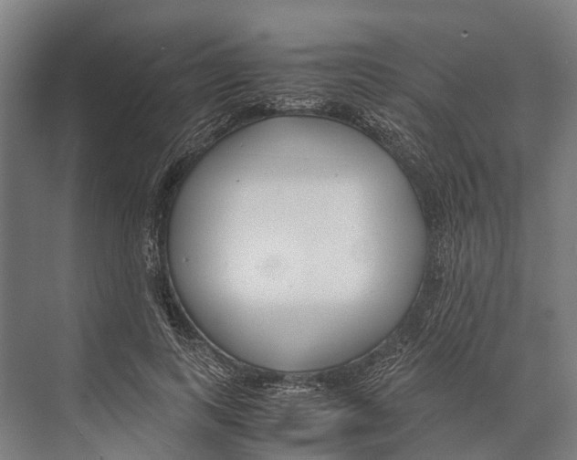 X0000071950743200608041553