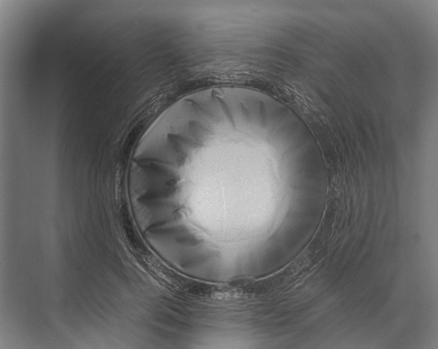 X0000071950744200608041553