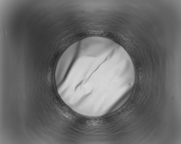 X0000071950745200608041553