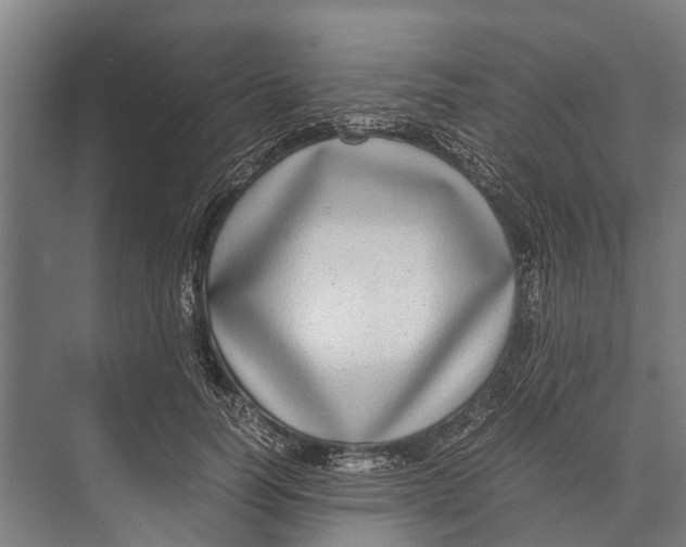 X0000071950746200608041553