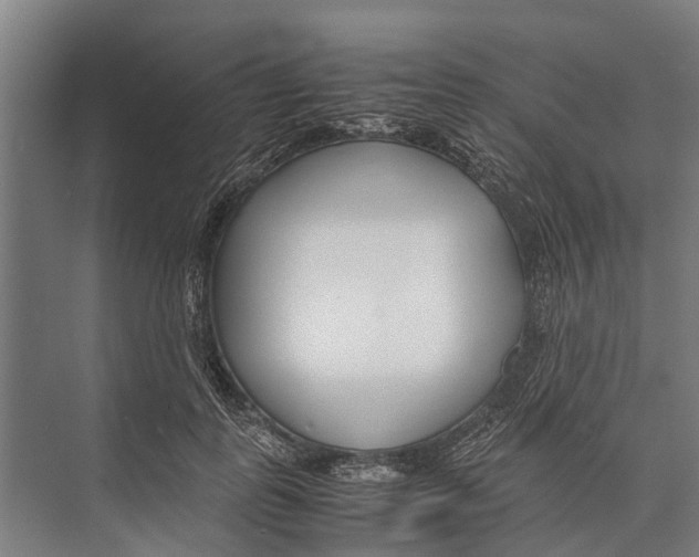 X0000071950747200608041553