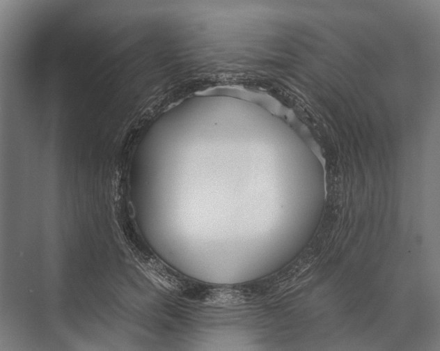 X0000071950750200608041553