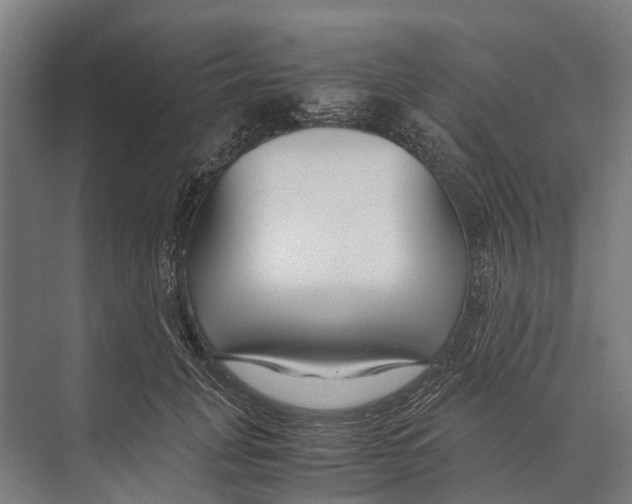 X0000071950751200608041553