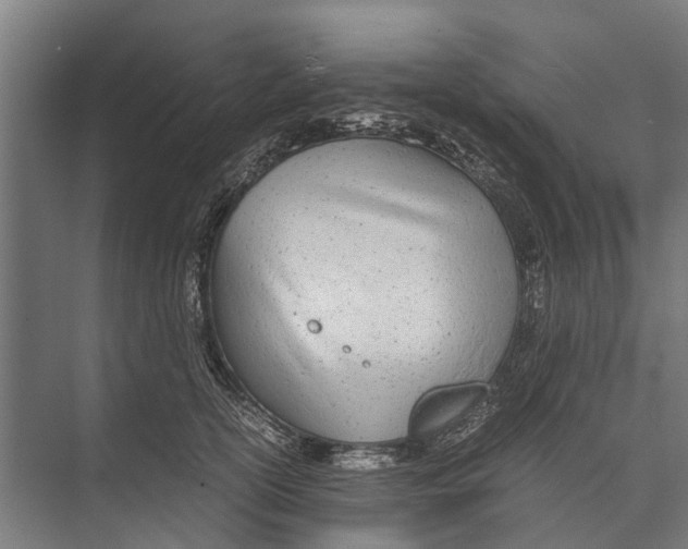 X0000071950754200608041553